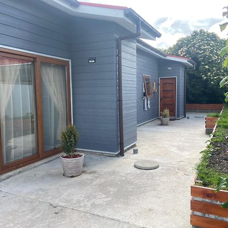 Cabanas Bosque Austral Punta Arenas Exterior foto