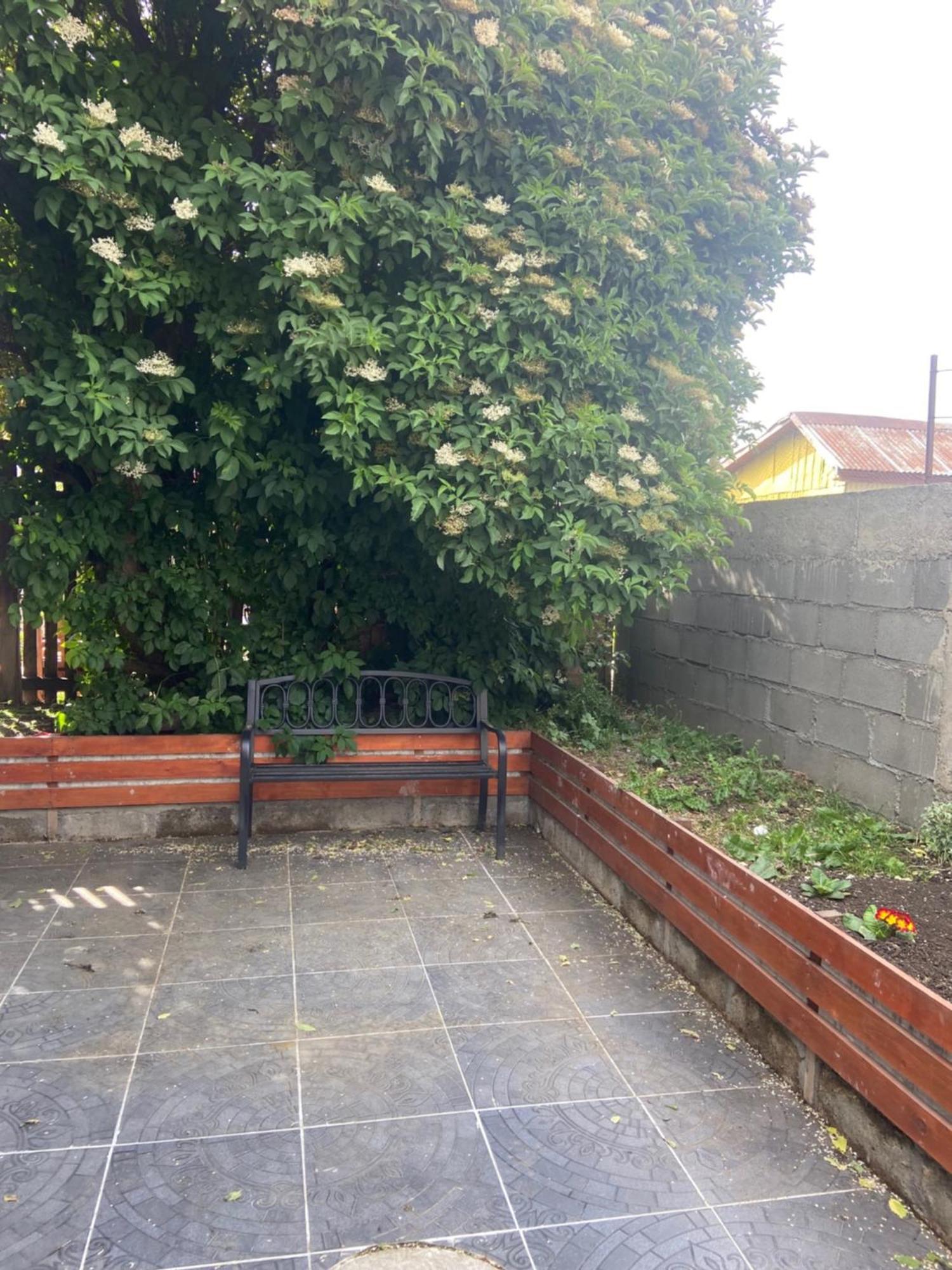 Cabanas Bosque Austral Punta Arenas Exterior foto